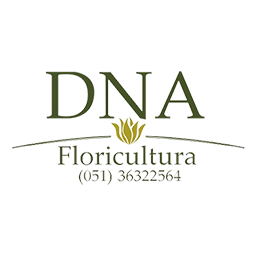 Registro de Domínios